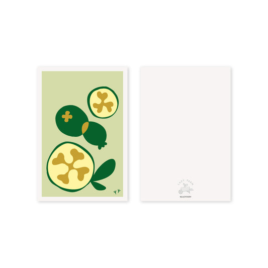 Postcard_Feijoa